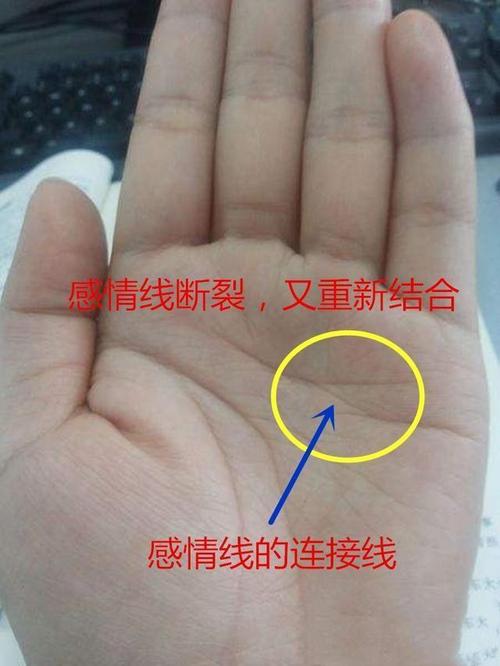 正规的私家侦探-手相爱情线分叉