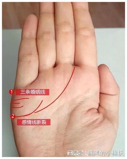 侦探公司推荐-爱情线起点分叉，桃花较多。